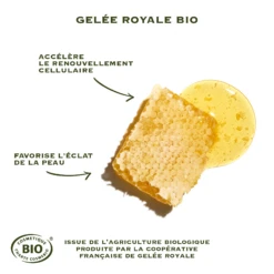 SANOFLORE Elixir Des Reines -Clarin Beauty Magasin SANOFLORE Elixir des reines 18994 105 1648651080