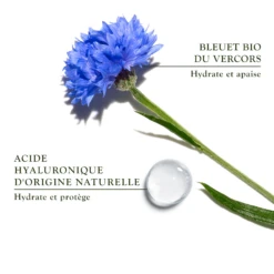 SANOFLORE Aciana Botanica - Crème Légère Bio 50ml 13 SANOFLORE Aciana Botanica - Crème Légère Bio 50ml -Clarin Beauty Magasin SANOGLORE Aciana botanica Creme legere bio 50ml 101623 105 1684867015