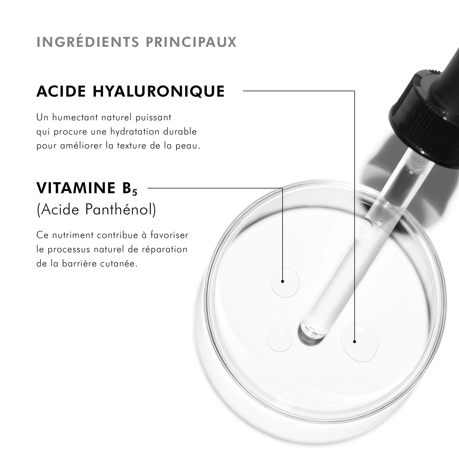 SkinCeuticals SKIN CEUTICALS Moisturize Hydrating B5 Flacon Compte Goutte 30ml 7 SkinCeuticals SKIN CEUTICALS Moisturize Hydrating B5 Flacon Compte Goutte 30ml – Image 5